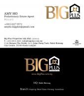 Amy Ho
