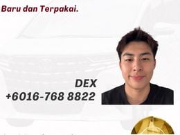 EmsVision Dex