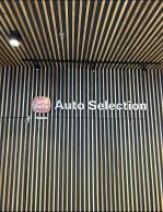 Louis Auto Premium Selection