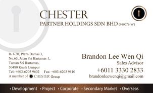 Brandon Lee Wen Qi