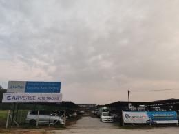 Carverse Auto Trading