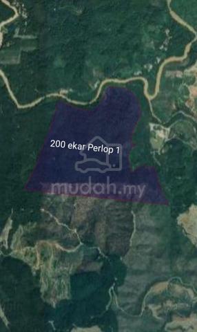 Land for Rent at Sungai Siput perak 1