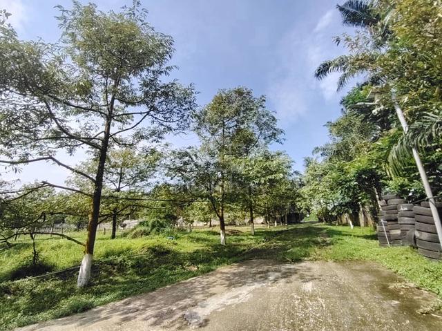 Johor Bahru Durian Farm Agriculture Land For Sale @ Ban Foo 1