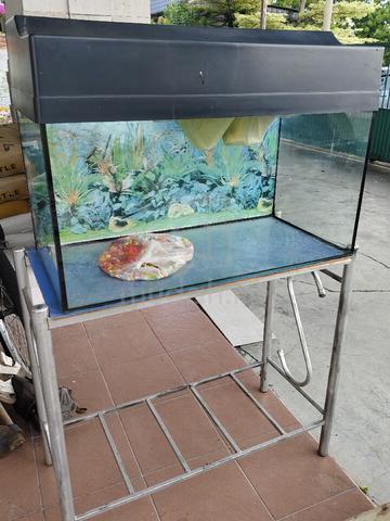Carousel Image