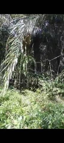 Sijangkang Batu 9, Jalan Kebun Baru, 📌2.121Acres flat Land for sale 3