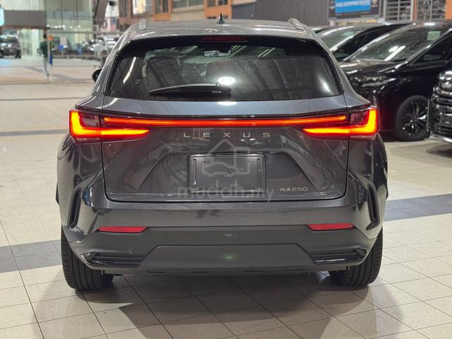 2023 Lexus NX250 2.5 VERSION  L (A)PROMOTION STOCK - 5