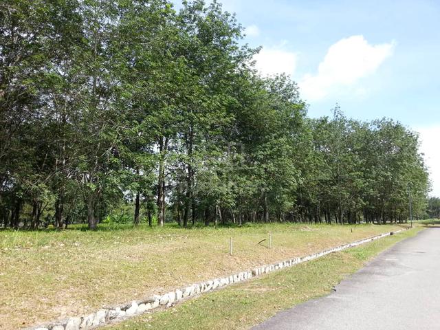 College Heights Garden Resort Corner Land For Sale 10m To Eco majestic 1