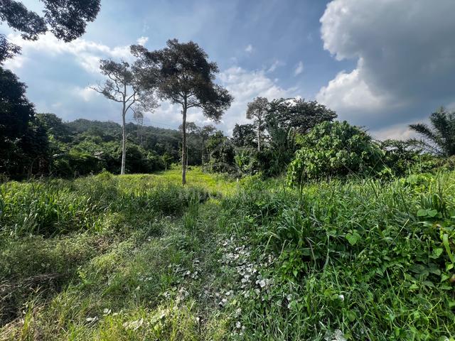 [JualBahagian] Non Bumi Tanah 1/2 ekar di Bandar Baru Salak Tinggi 5
