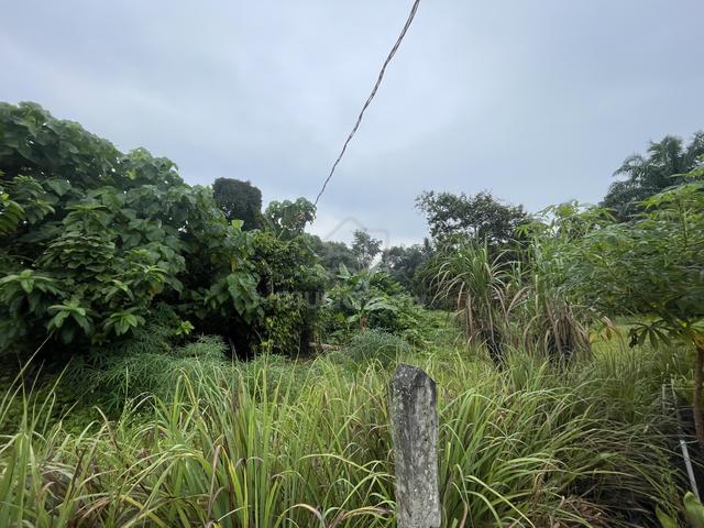Land in Beranang, Ulu Langat, Selangor 1
