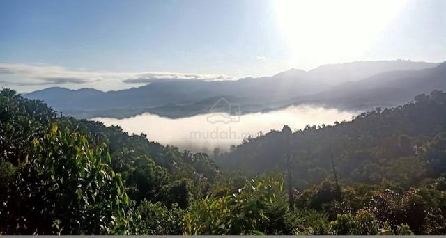 Tanah Land 11 Acres Ekar Bentong Raub Resort Rumah Kebun Durian farm 1