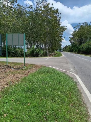Rubber tree land (include 4.27 acres durian farm) 1