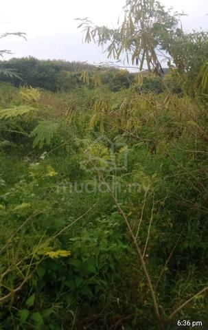 Tanah Sawah 2
