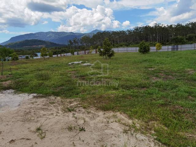 Bedong Durian Land For Sale 3