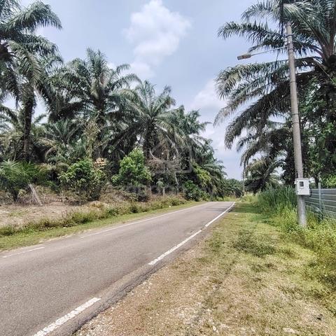 7.5 Acres Oil Palm Agriculture Land Simpang Renggam Johor 1