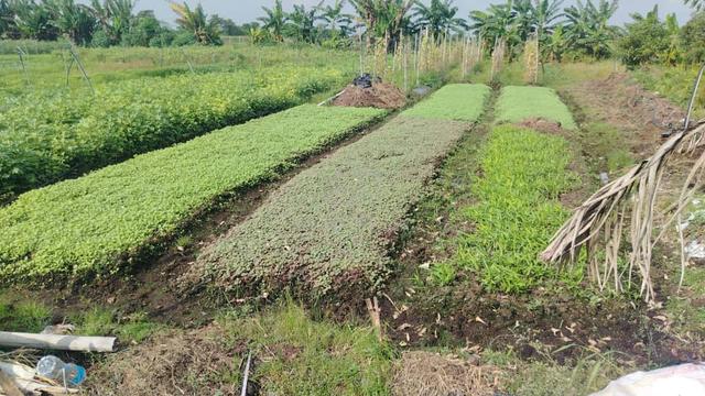KLANG JOHAN SETIA, 1 Acre Flat Land for Sale 🎈 Beside Reserve Roa 1
