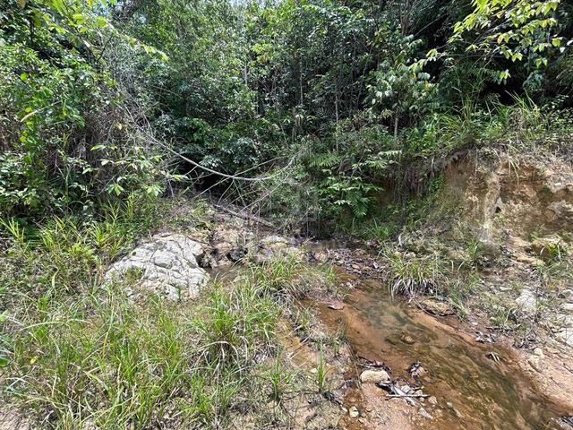 Prime Agricultural Land for Sale - Kenaboi, Negeri Sembilan 1