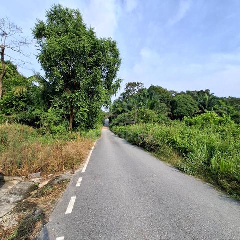 Agricultural Land Sungai Tiram Johor 1