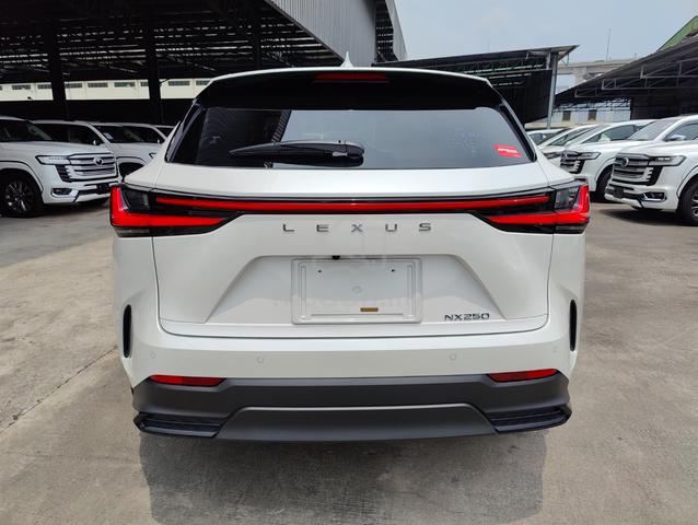 4CAM 2023 Lexus NX 250 2.5 BASE NX250 CHEAPEST (A) - 4