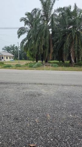 Tanah Cantik Tepi Jln Zazuli Bkt Hijau Pinggir Puncak Alam 1