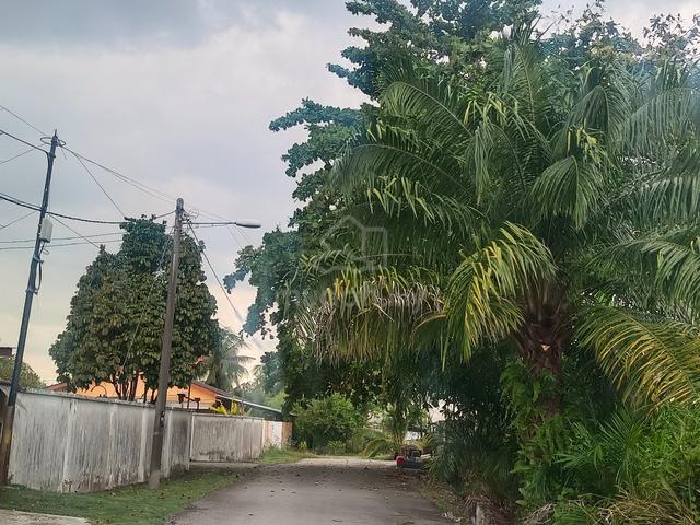 For Sale - Bungalow House In Kg Selamat (on agri title) 1