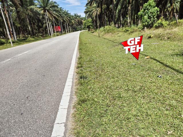 5.94 acre Agricultural Land | Beside Mainroad | Selama | Perak b 1