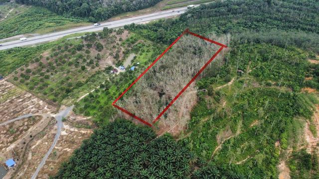 4.09 Acres Rubber Tree (Cinta Manis) near main road for sale 2