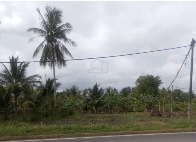 tanah untuk disewa 1