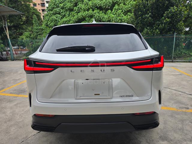 2023 Lexus NX 250 2.5 BASE Ready Stock 5A/19k km - 4