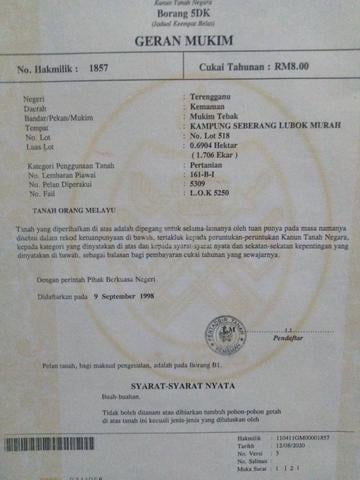 Terengganu Kemaman Agricultural Freehold Land For Sale 1