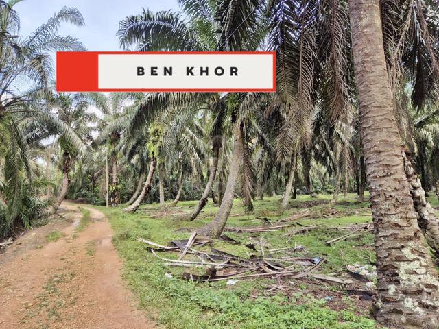 10.293 Acres | 2 Reserved Road | Agricultural Land |Selama | PERAK 2