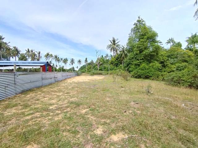 Tanah Pertanian Kg Bentan(Lot15325) Jalan Tanjung Selangor 1