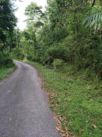 Agricultural Land in Pasir Panjang, Port Dickson 1