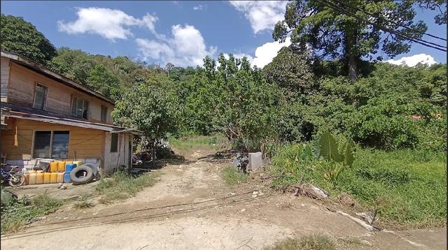 Land For Rent❗ 📍Kampung Gunsing, Penampang Donggongon 1