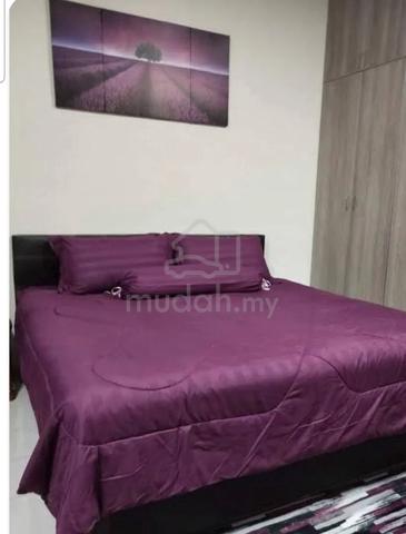 Room sharing queen.. Looking female working adult 1