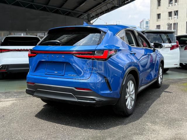 2023 Lexus NX250 BASE Blue Rare !! Only - 3