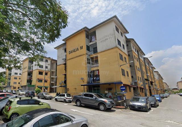 Dahlia (Seremban) 1