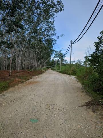 Tanah Kebun Sawit di Kg. Sg.Senang, mukim Jeneri, Sik untuk dijual. 3