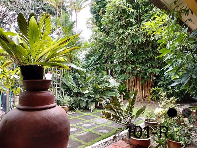 [Corner Lot] Kota Kemuning Aranda 2sty corner 4330sqft extended for sa 1