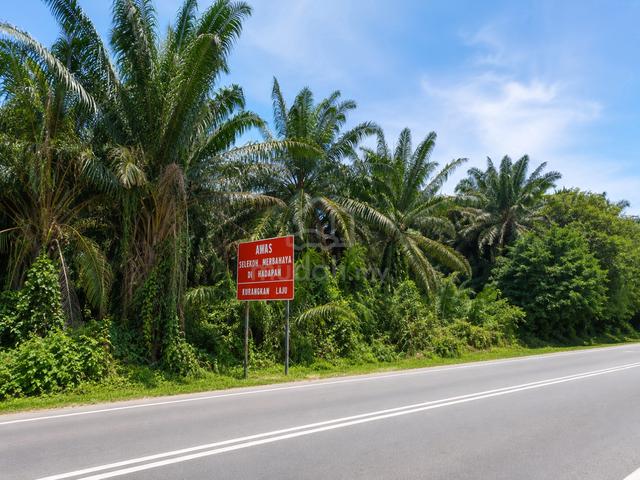 MUKIM Senai - Seelong | Freehold | Nonbumi Lot | Tanah Kurnia 1