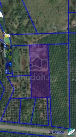3 Ekar Tanah Pertanian Kelapa Sawit Bersama FIDLOT, Linggi PD For Sale 1