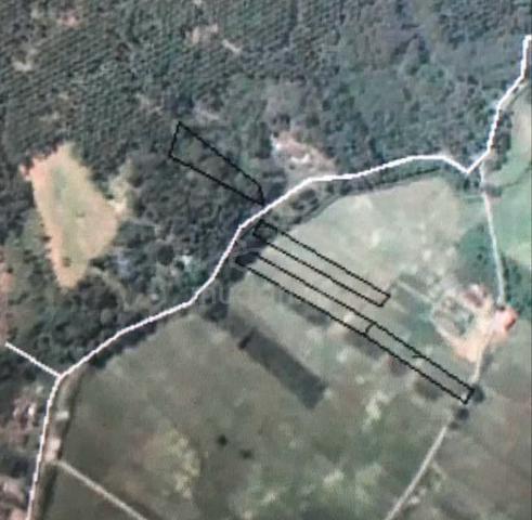 Tanah Sawah Alor Gajah 1