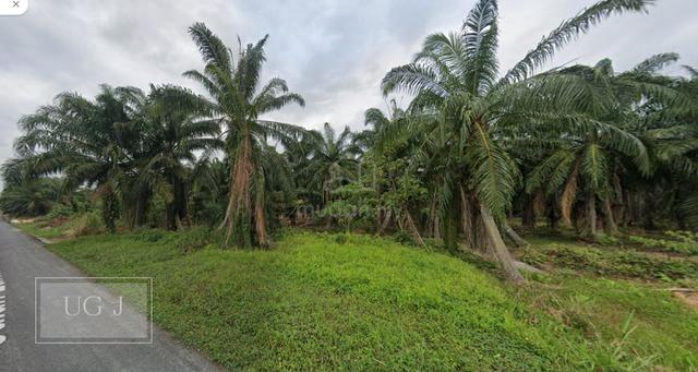Kampung Sungai Jarom, Jenjarom, INDUSTRY LAND For SALE 3