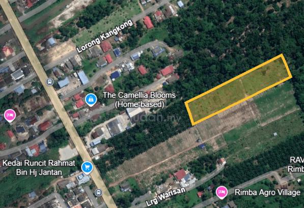 Pontian Johor, Kampung Rimba Terjun - Freehold Agriculture Land 1