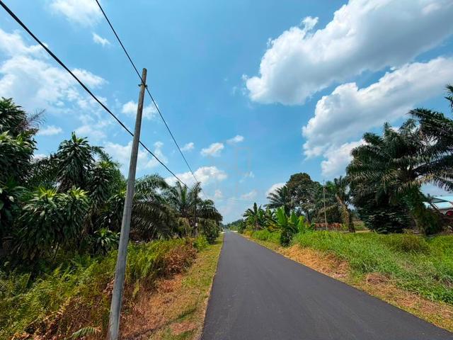 Pontian@Parit Abdul 5.3 acres Agricultural land 1