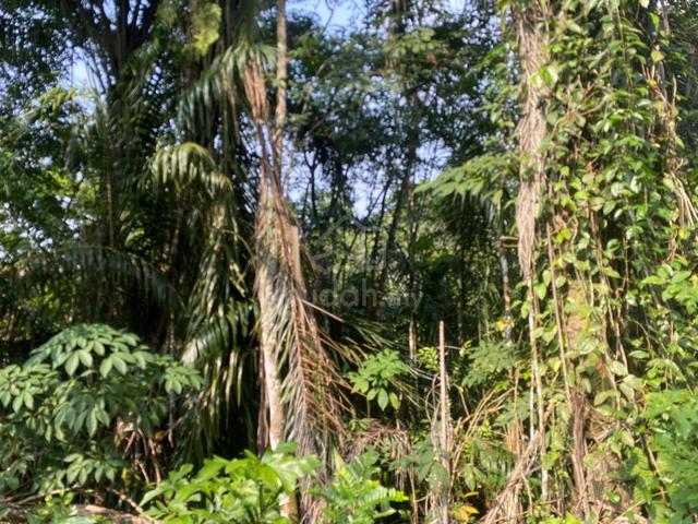 Road Frontage Land for Sale at Jalan Utama Mempaga, Karak, Pahang 1