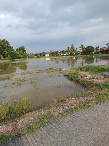 Tanah Sg Dua untuk Dijual 1