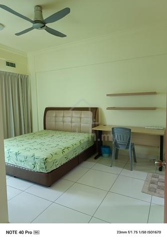 room for rent 1