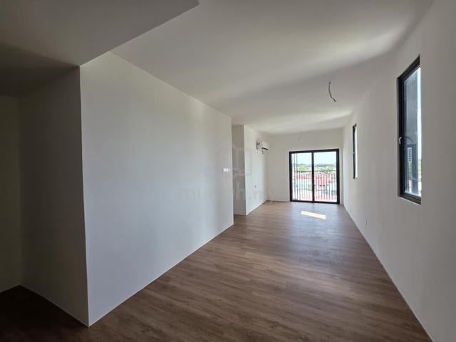 Hanns Avenue 1
