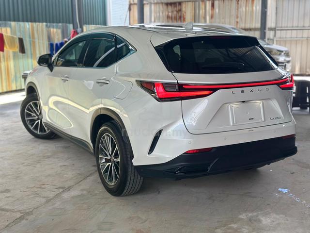 2023 Lexus NX 250 Low Mileage 13k km Promo - 3