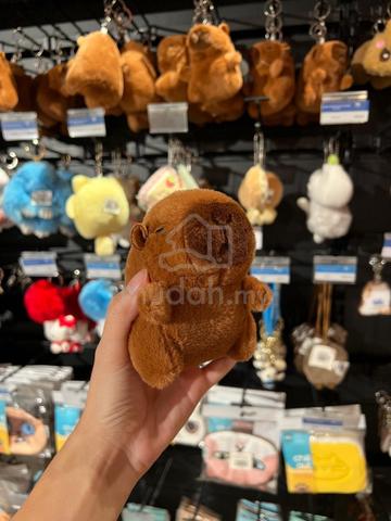 Carousel Image Selected